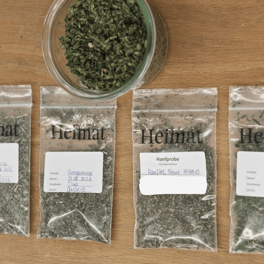Hanftee Kollektion (6 Sorten)-Heimat